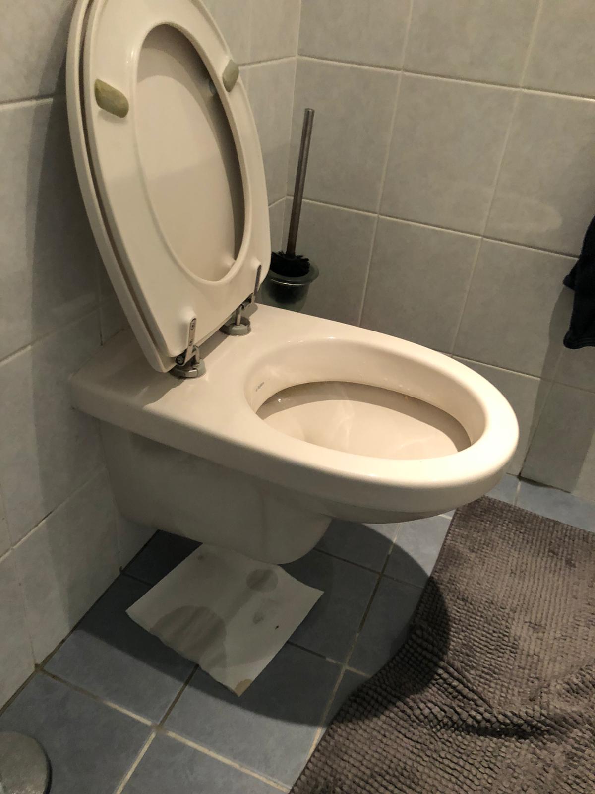 hangtoilet Wijchen